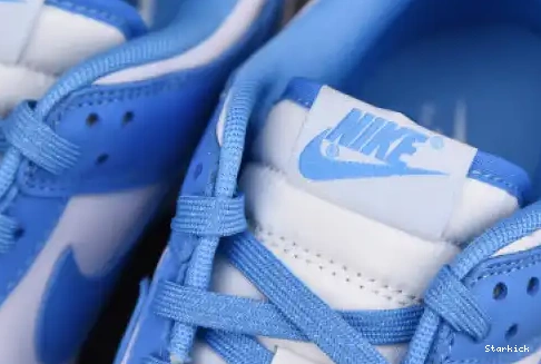 Dunk DD1391-102 Blue Nike University Low 0701